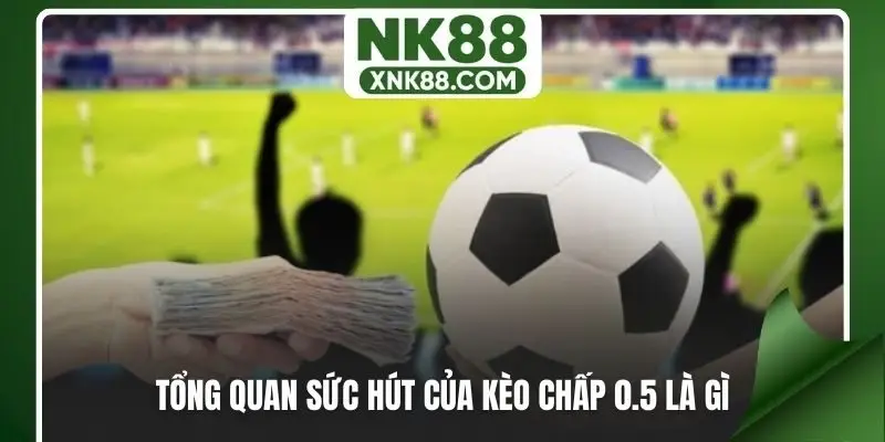 Tổng quan sức hút của kèo chấp 0.5 là gì